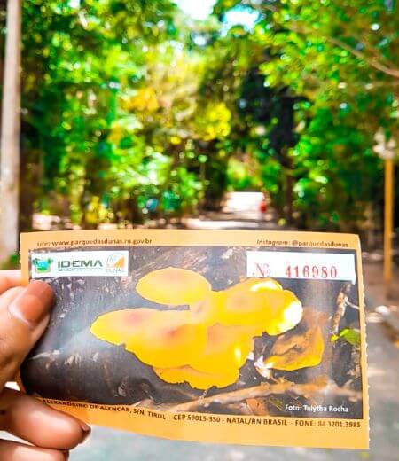 ingresso-do-parque-das-dunas-em-tons-laranja-e-com-ilustracao-da-vegetacao